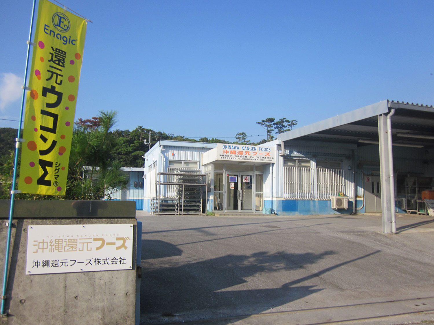 沖縄還元フーズ株式会社 | 国内産の安心安全なウコンを販売している 