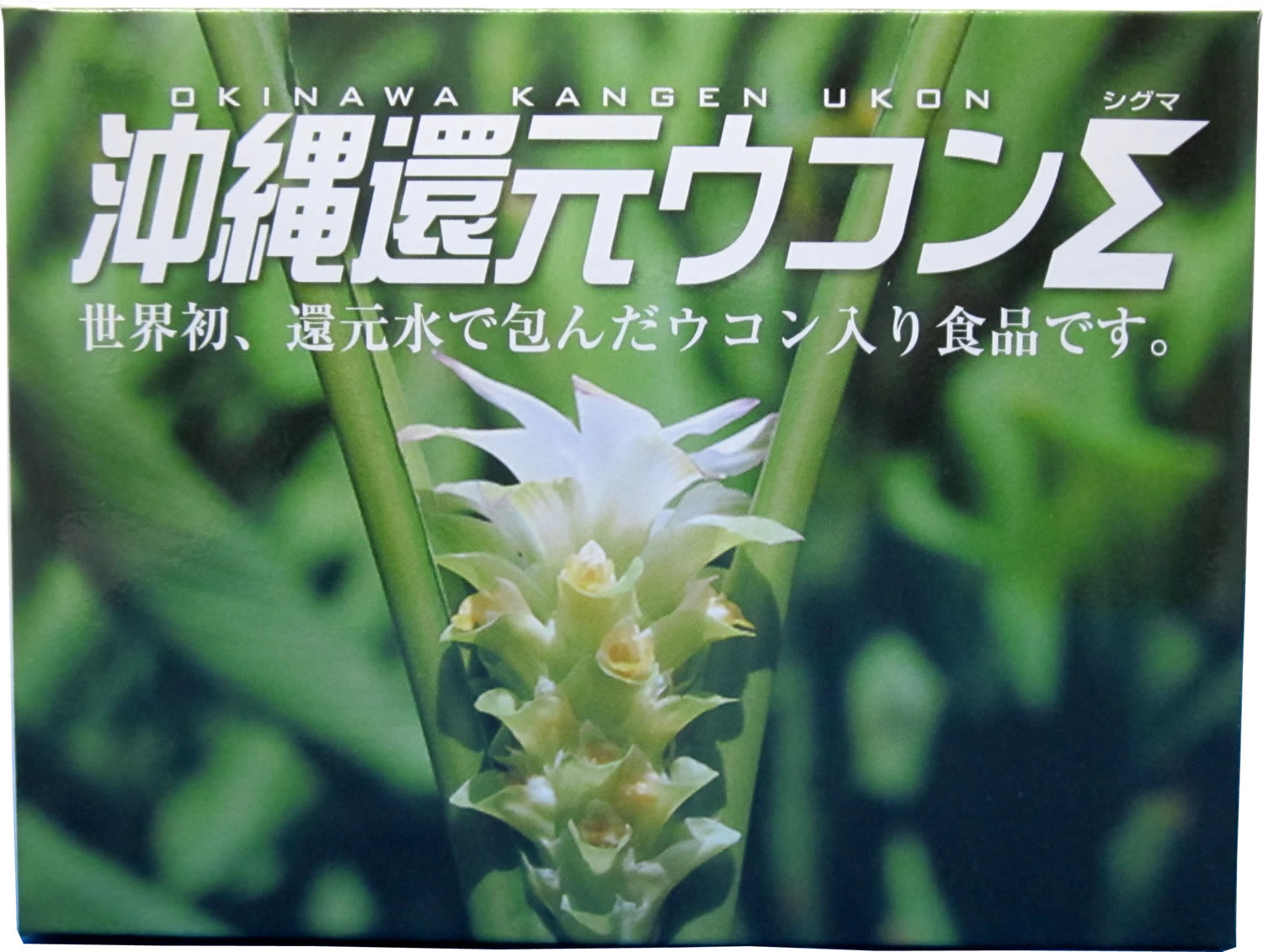 沖縄還元フーズ株式会社 国内産の安心安全なウコンを販売している沖縄還元フーズ株式会社